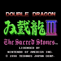 Double Dragon 3 Difficulty Fix Title Screen